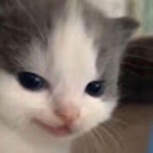 Meet your Posher, Ary